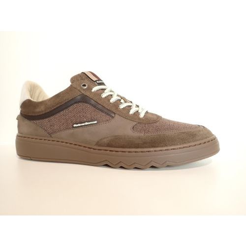 FLORIS VAN BOMMEL veterschoen taupe