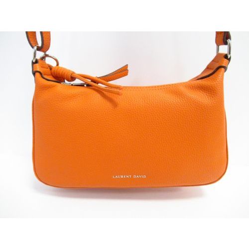 LAURANT DAVID  oranje